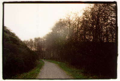 photograph