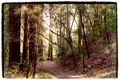 photograph